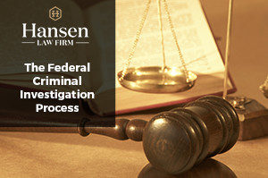 federal criminal investigation process